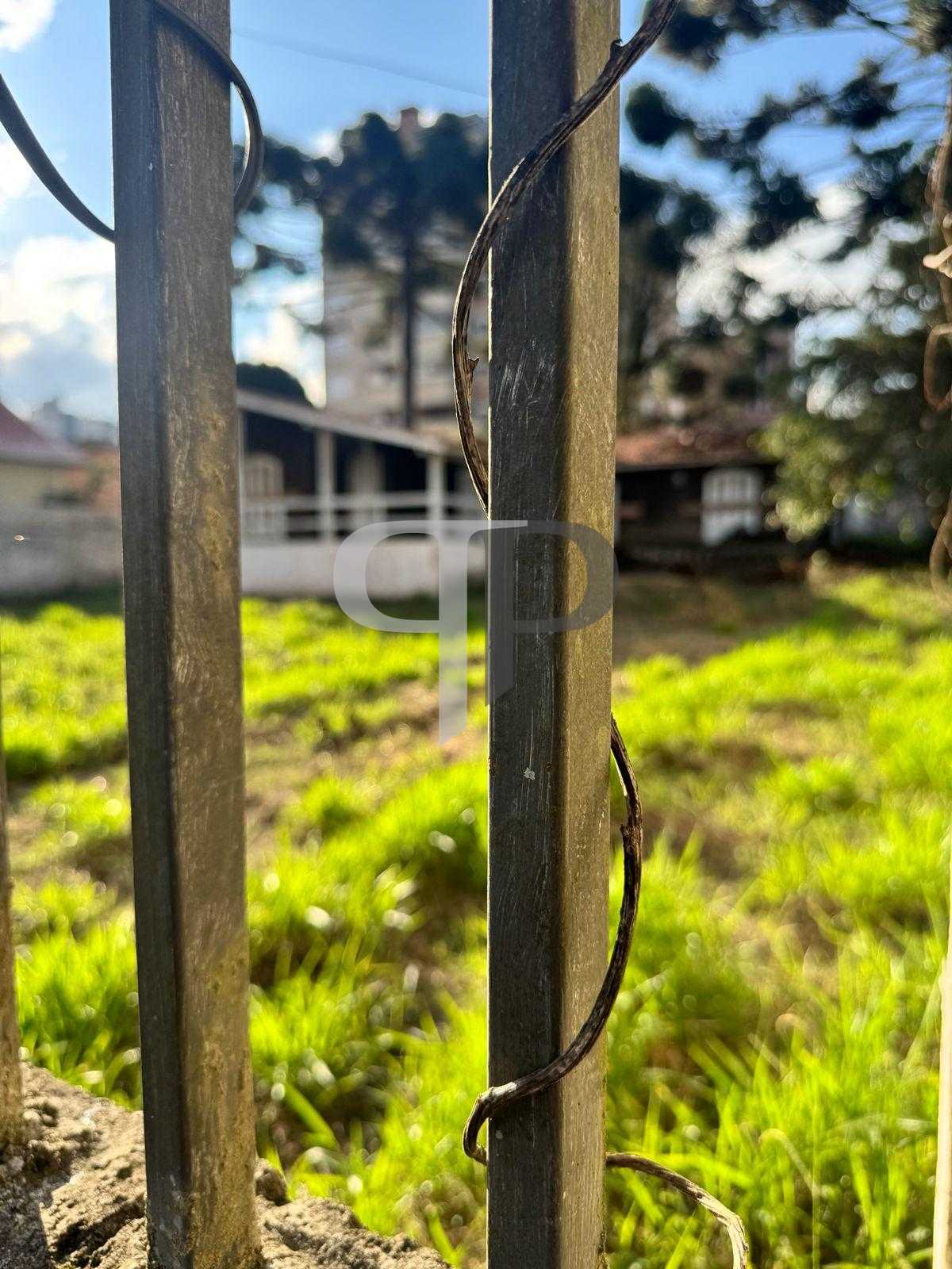 Terreno à venda, alto da rua xv, CURITIBA - PR