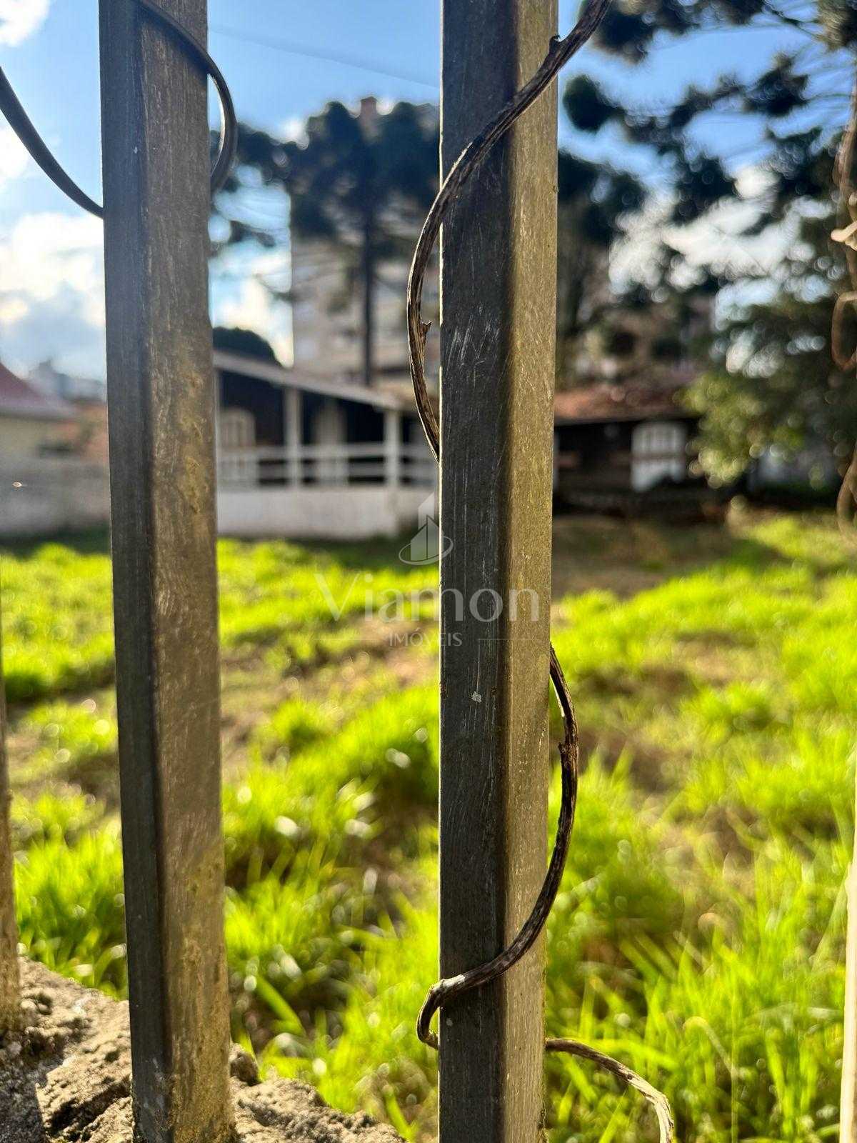 Terreno à venda, alto da rua xv, CURITIBA - PR