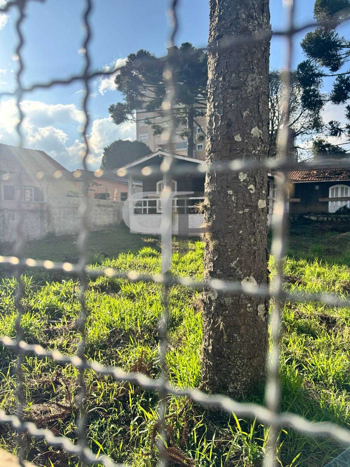 Terreno à venda, alto da rua xv, CURITIBA - PR