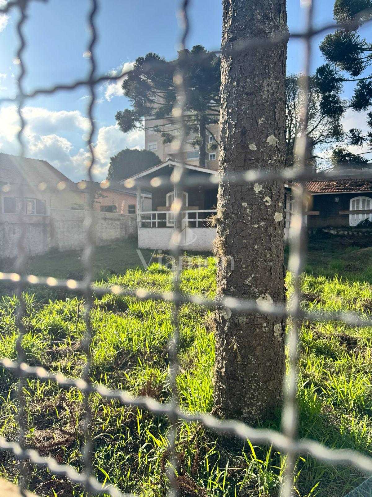 Terreno à venda, alto da rua xv, CURITIBA - PR