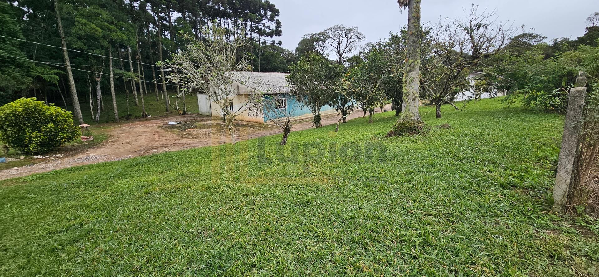 Chácara Completa à Venda na Colônia Murici  Região de Gamelas ...