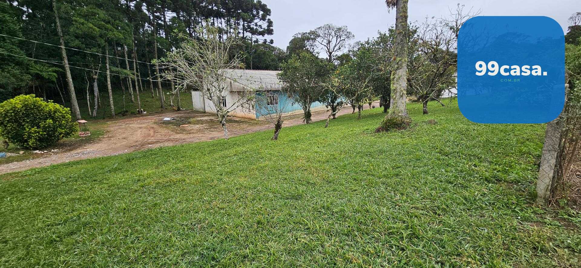 Chácara Completa à Venda na Colônia Murici  Região de Gamelas ...