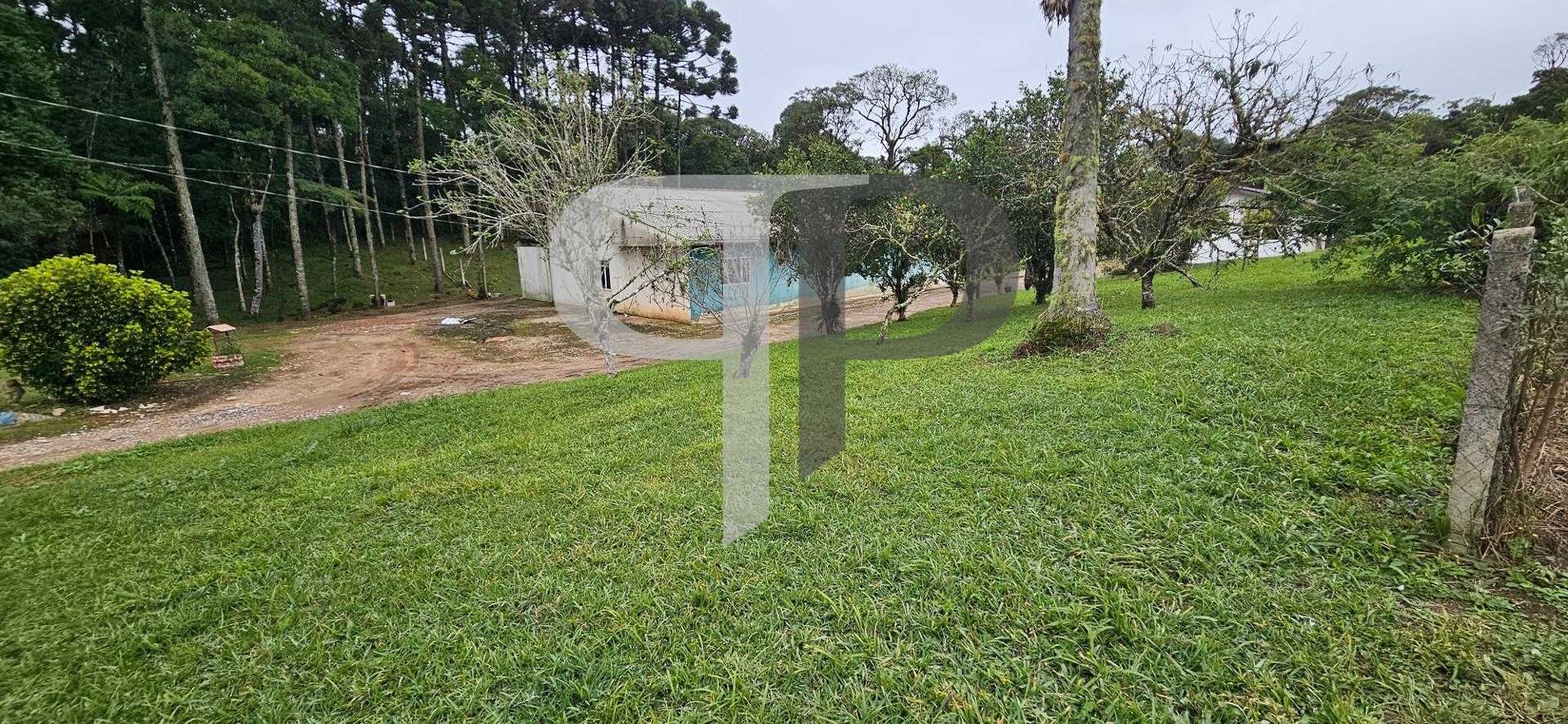 Chácara Completa à Venda na Colônia Murici  Região de Gamelas ...