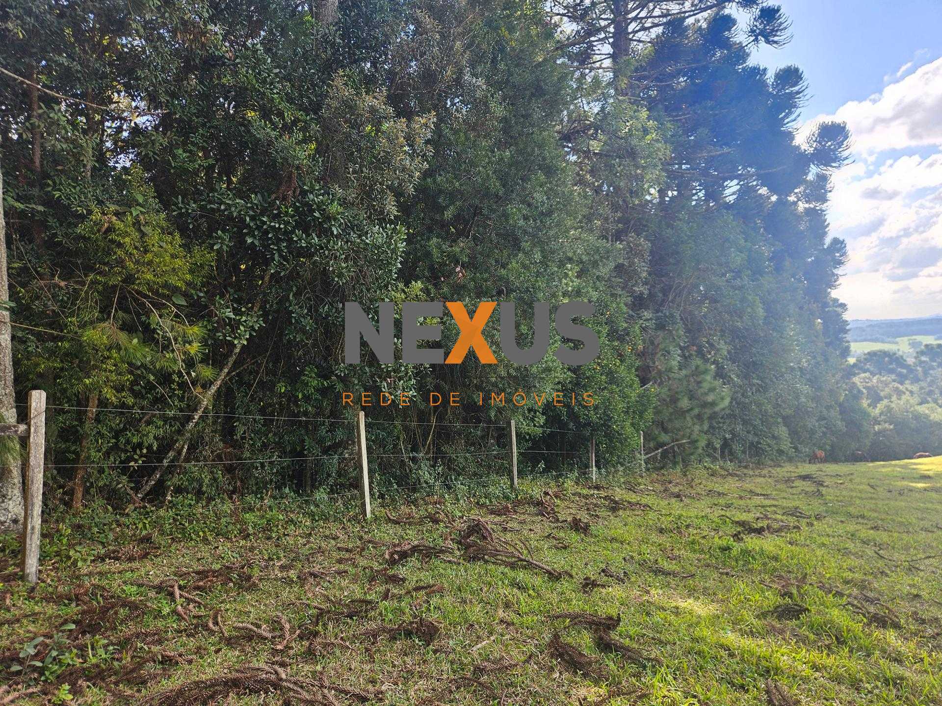 Área Rural Estratégica à Venda, 293.909,82 m², em Araucária