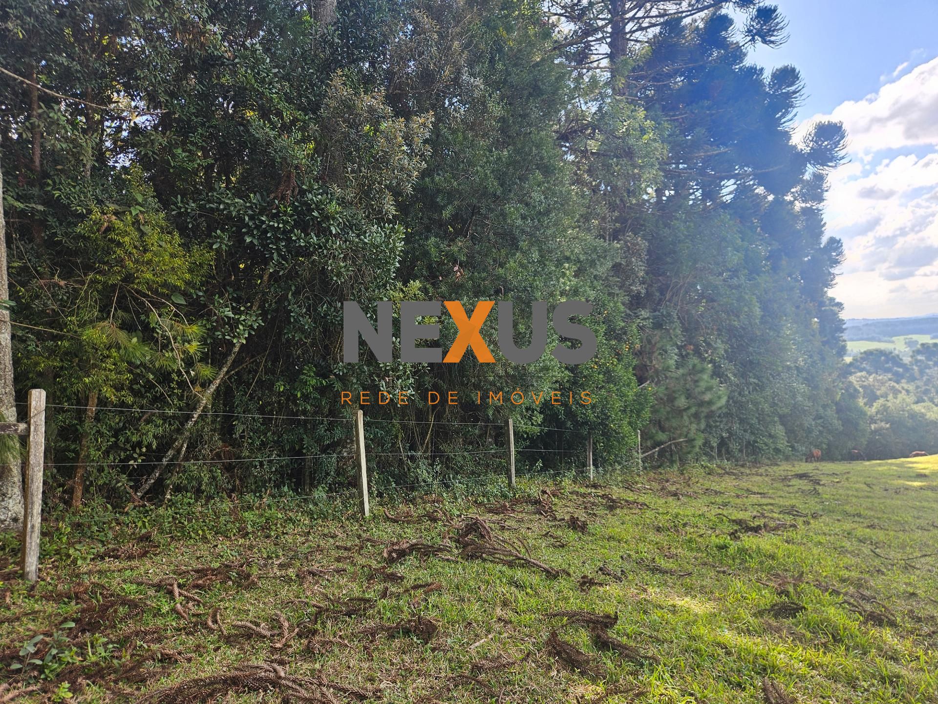 Área Rural Estratégica à Venda, 293.909,82 m², em Araucária