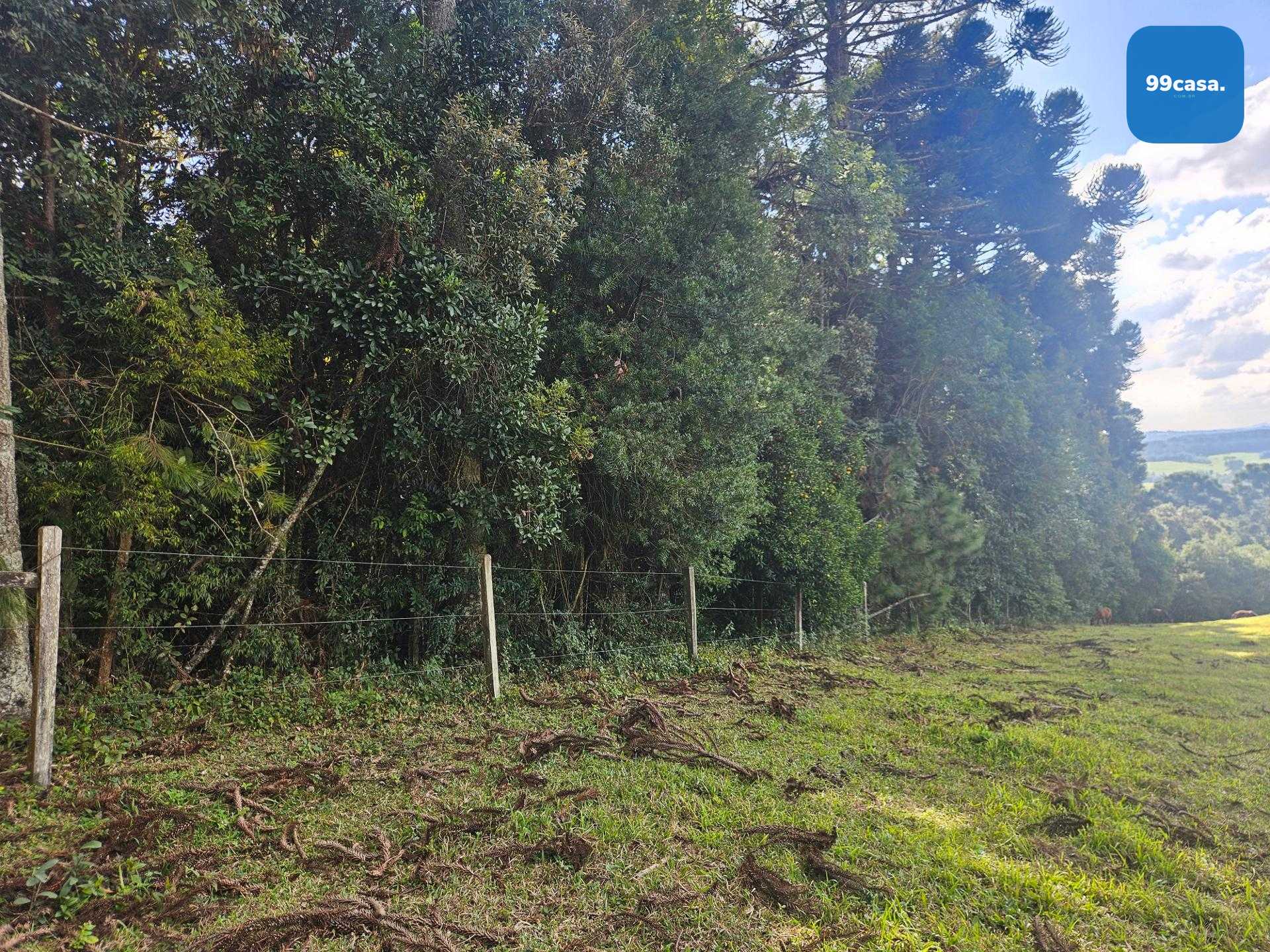 Área Rural Estratégica à Venda, 293.909,82 m², em Araucária
