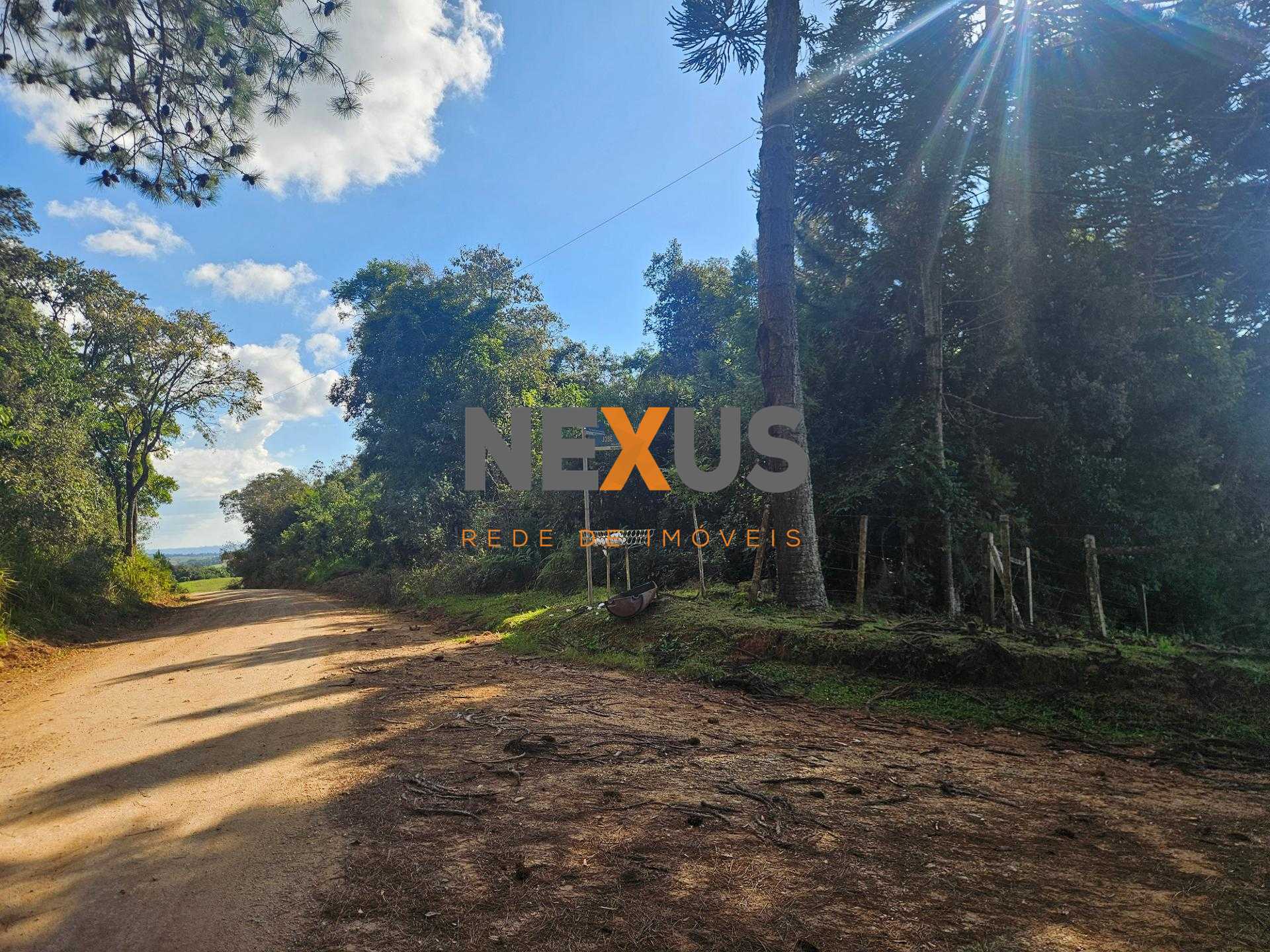 Área Rural Estratégica à Venda, 293.909,82 m², em Araucária