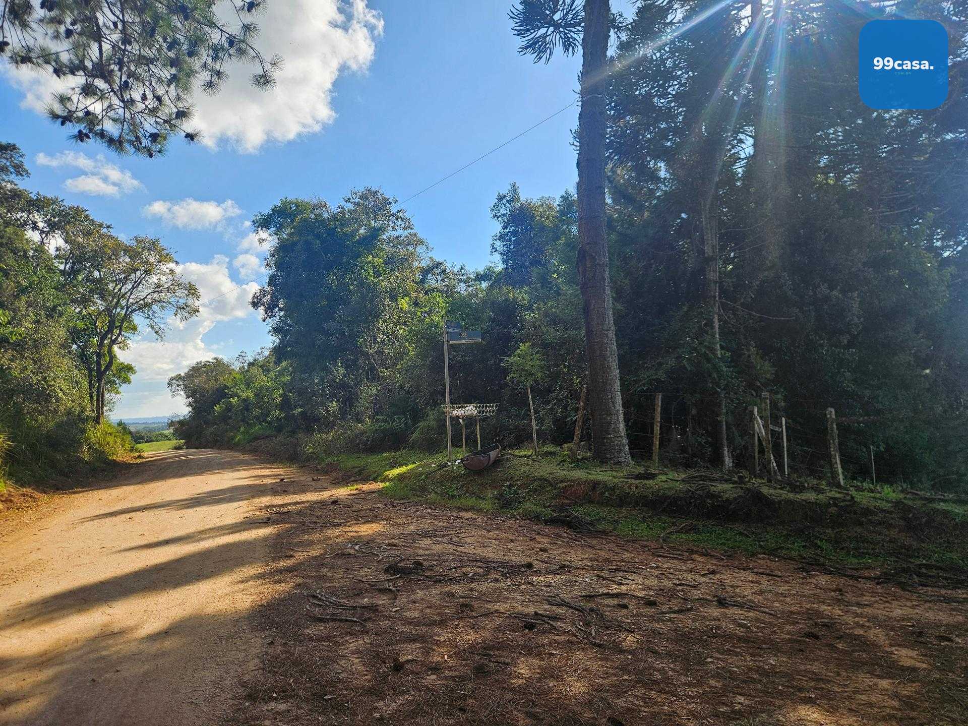 Área Rural Estratégica à Venda, 293.909,82 m², em Araucária