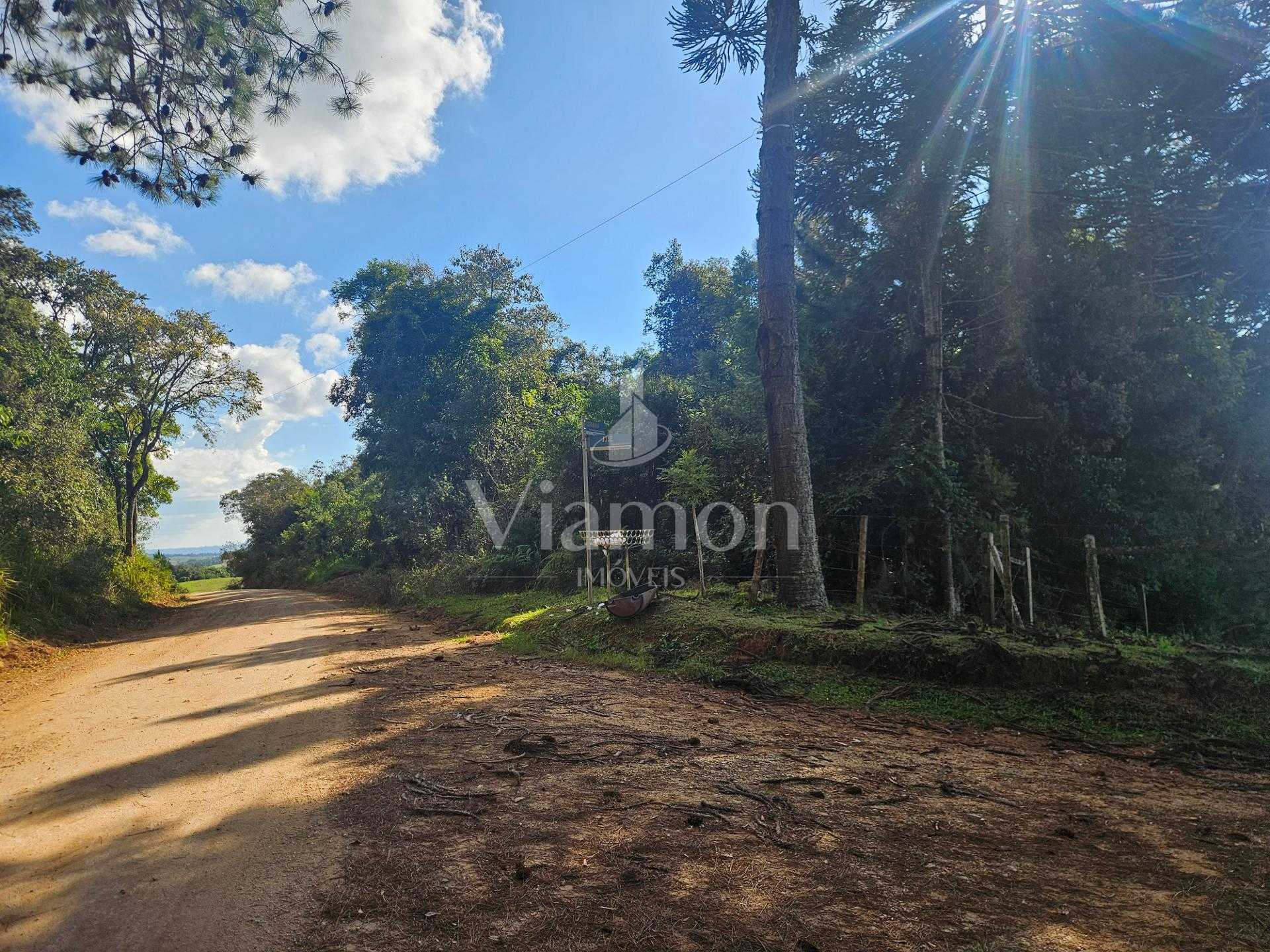 Área Rural Estratégica à Venda, 293.909,82 m², em Araucária