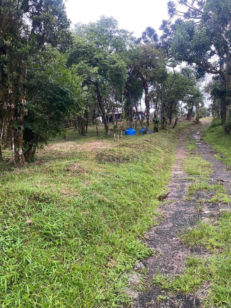 Chácara à venda, CAMPINA GRANDE DO SUL - PR