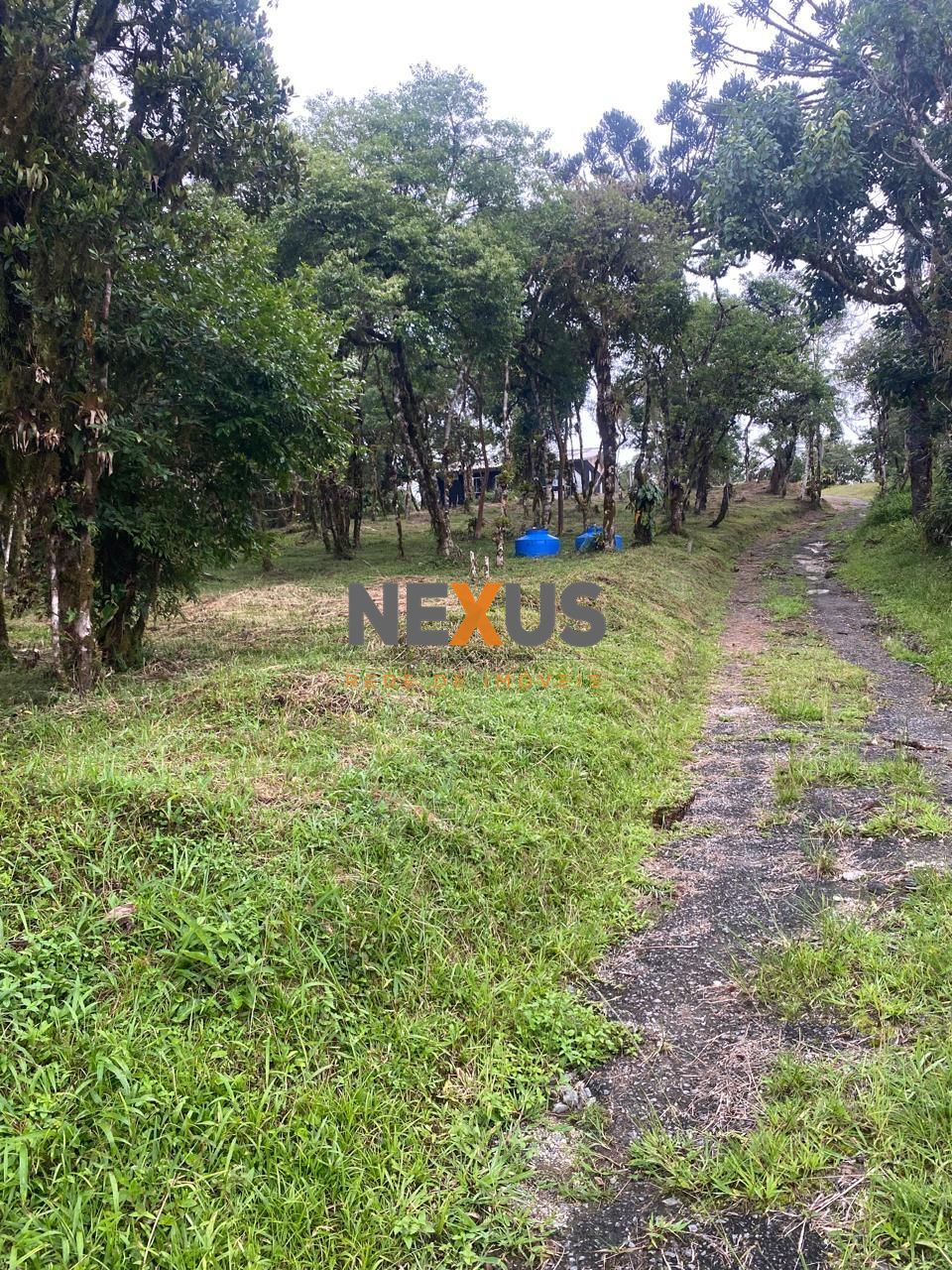 Chácara à venda, CAMPINA GRANDE DO SUL - PR