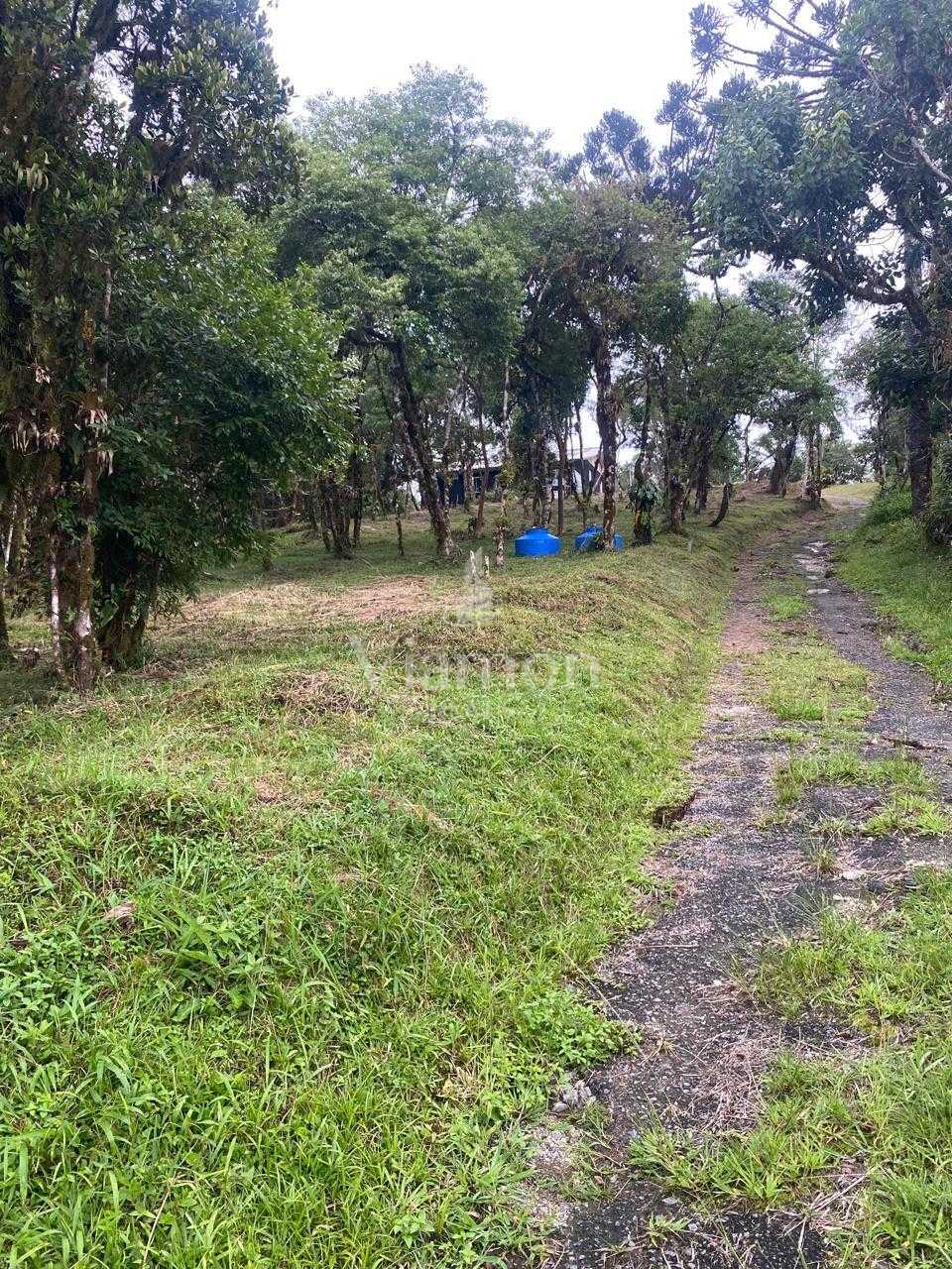 Chácara à venda, CAMPINA GRANDE DO SUL - PR