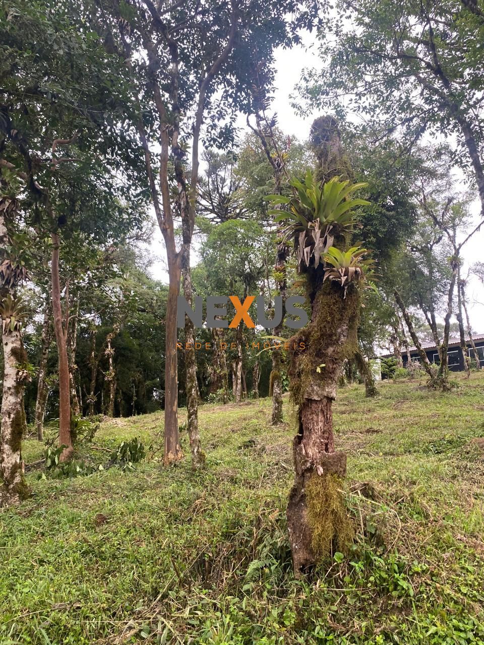 Chácara à venda, CAMPINA GRANDE DO SUL - PR