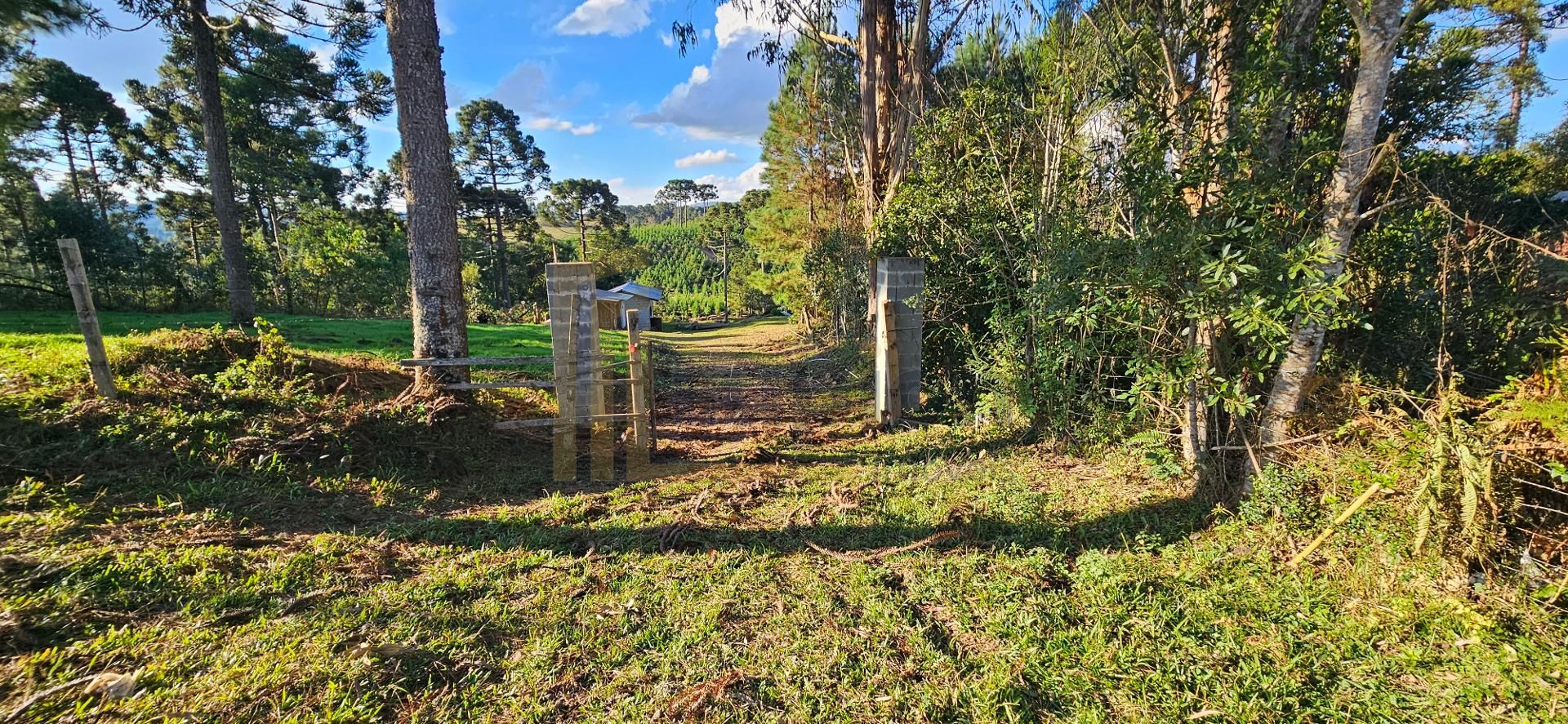 Chácara à venda com 9.200m²,  Postinho, TIJUCAS DO SUL - PR