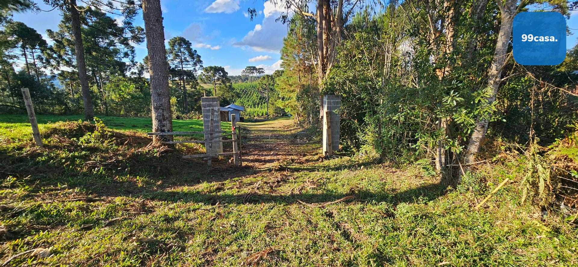 Chácara à venda com 9.200m²,  Postinho, TIJUCAS DO SUL - PR