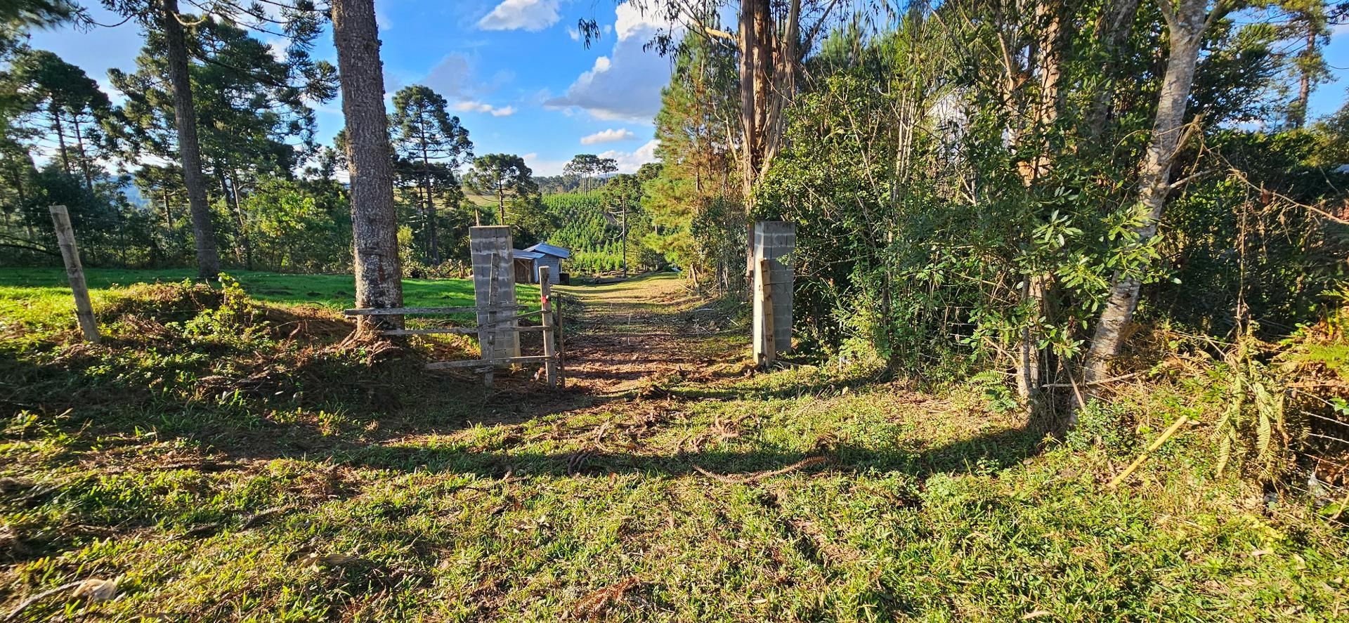 Chácara à venda com 9.200m²,  Postinho, TIJUCAS DO SUL - PR