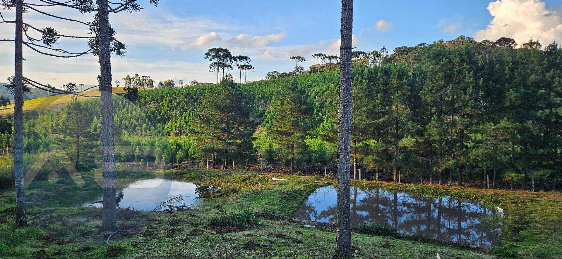 Ch?cara ? venda com 9.200m?,  Postinho, TIJUCAS DO SUL - PR