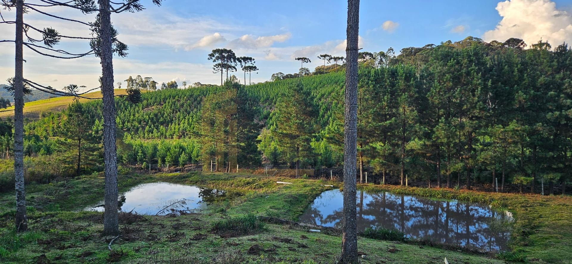 Chácara à venda com 9.200m²,  Postinho, TIJUCAS DO SUL - PR