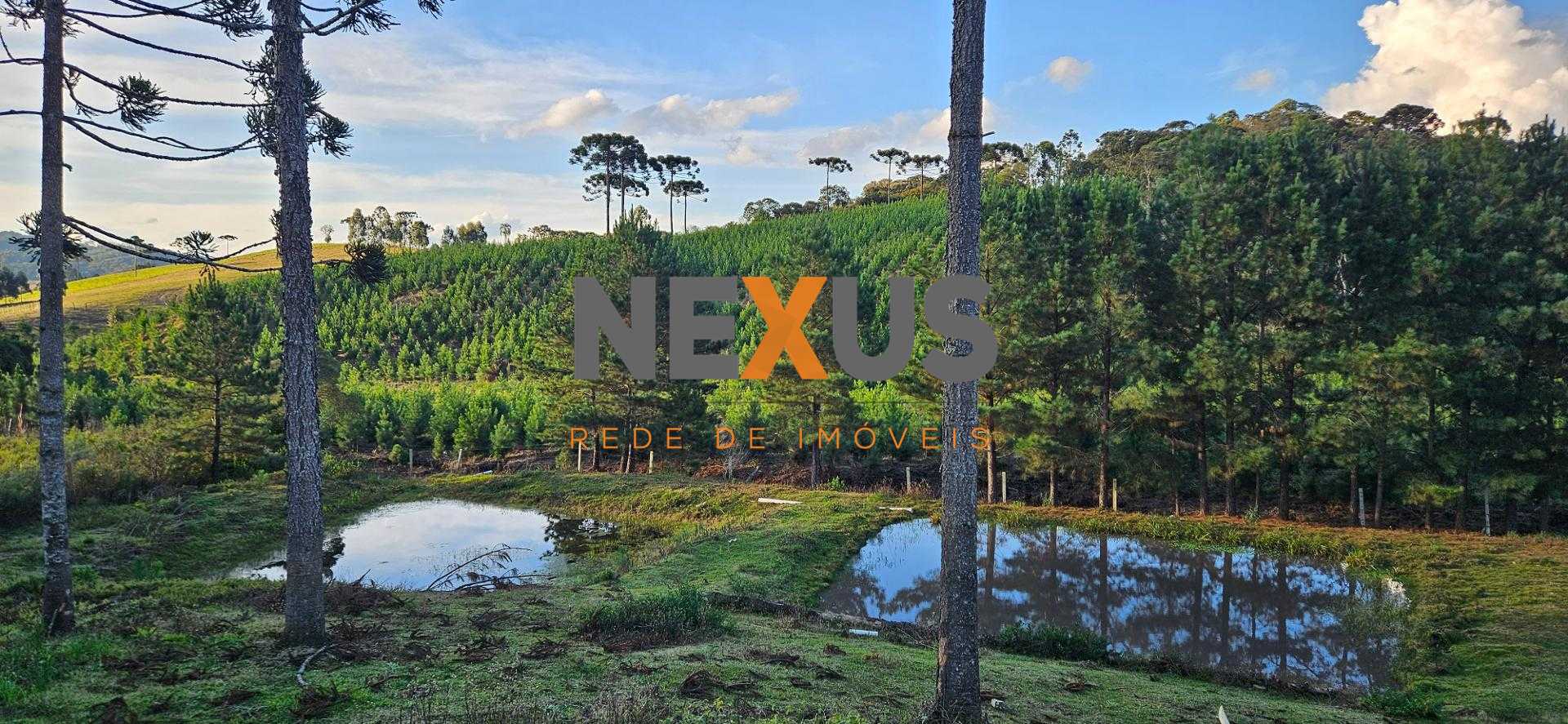 Chácara à venda com 9.200m²,  Postinho, TIJUCAS DO SUL - PR