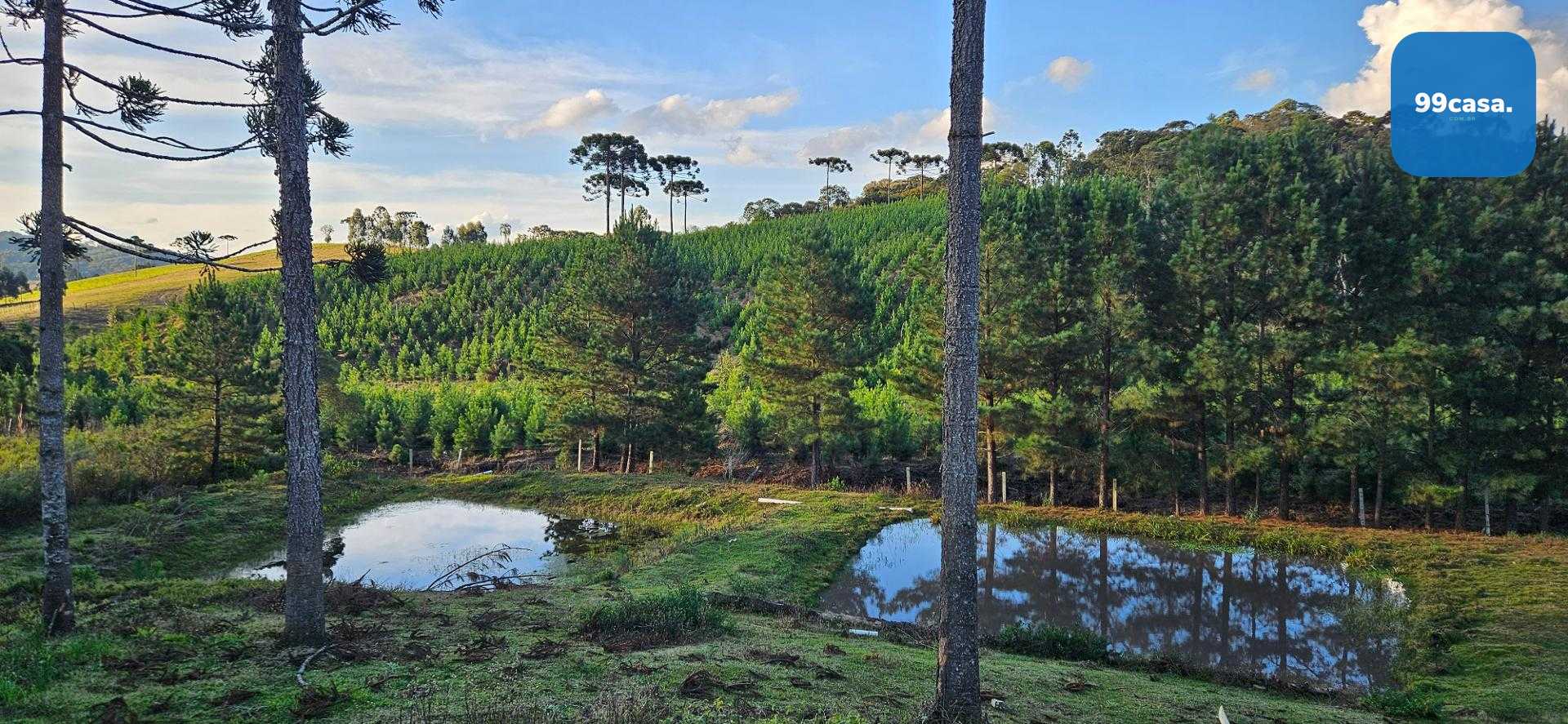 Chácara à venda com 9.200m²,  Postinho, TIJUCAS DO SUL - PR