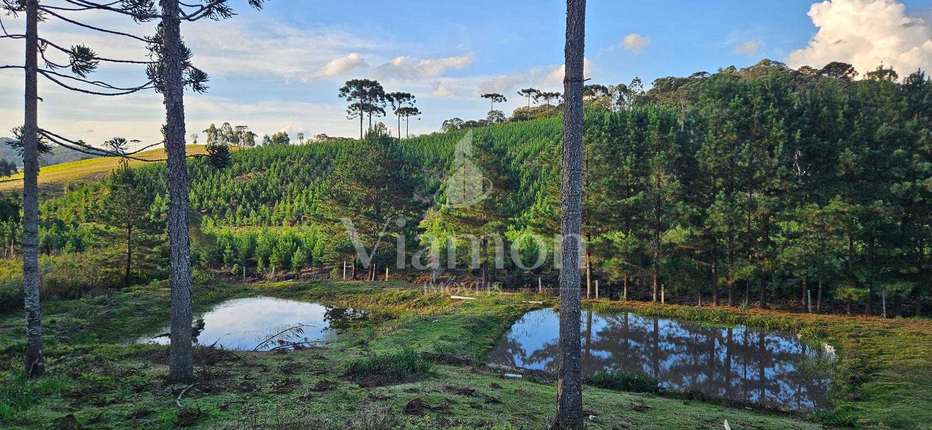 Chácara à venda com 9.200m²,  Postinho, TIJUCAS DO SUL - PR