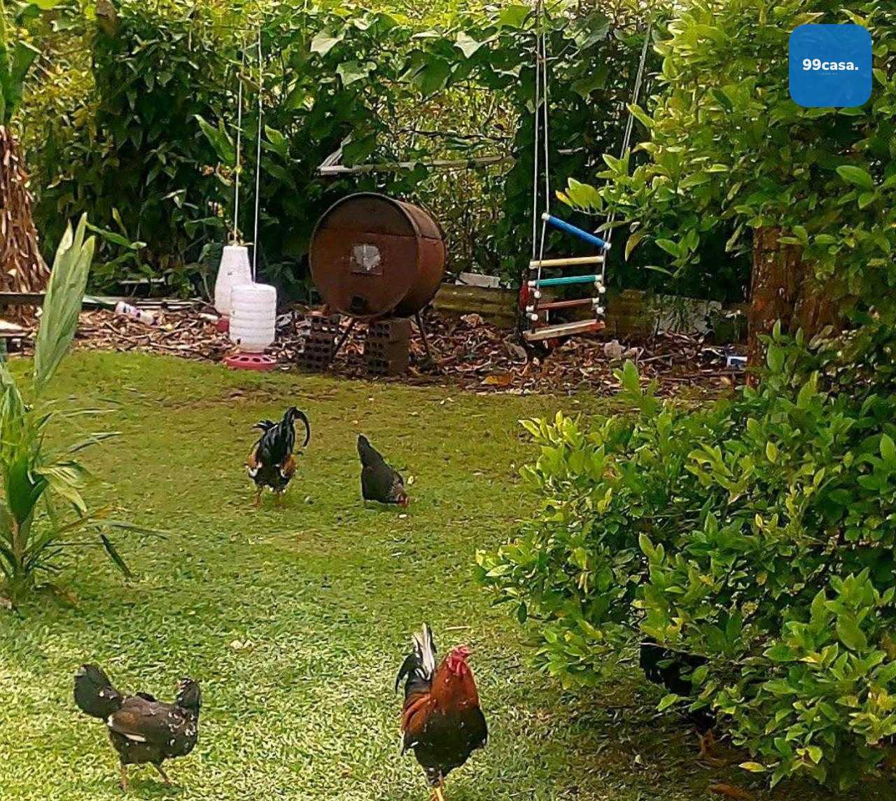 Chácara à venda, Granja das Acácias, QUATRO BARRAS - PR