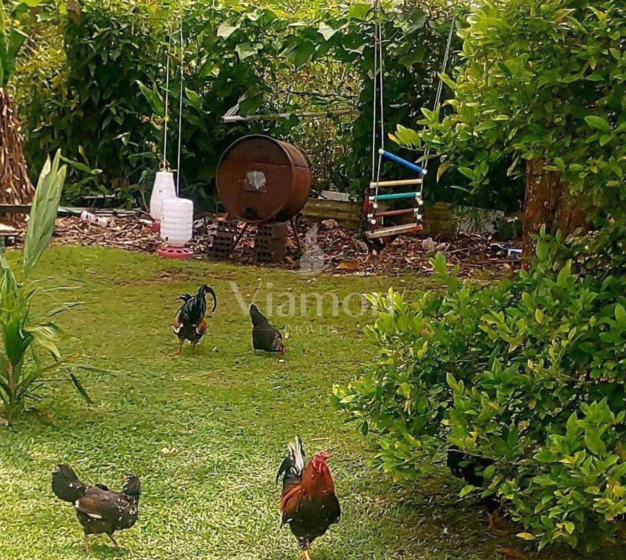 Chácara à venda, Granja das Acácias, QUATRO BARRAS - PR