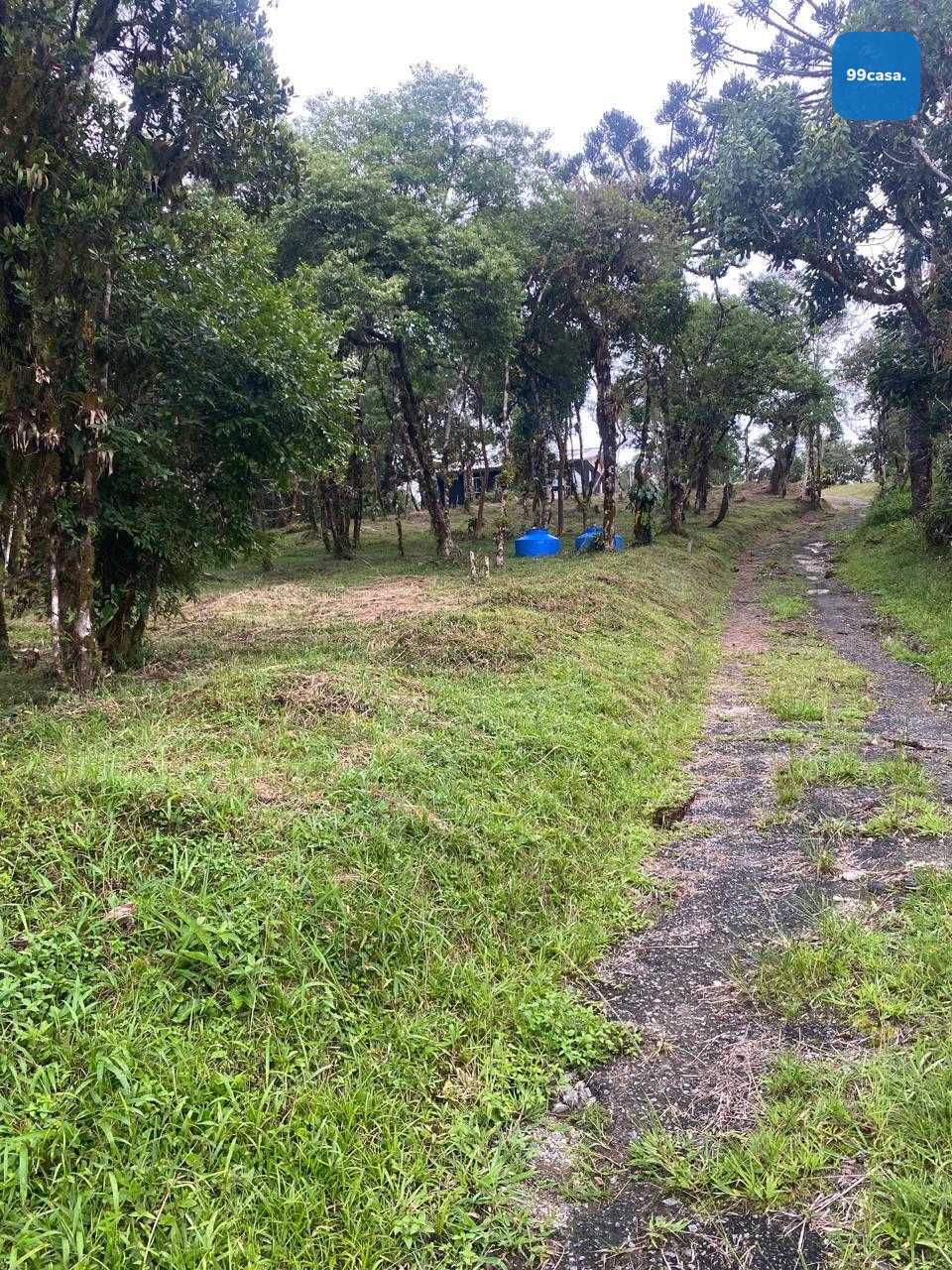 Chácara à venda, zona rural (bugre), CAMPINA GRANDE DO SUL - PR