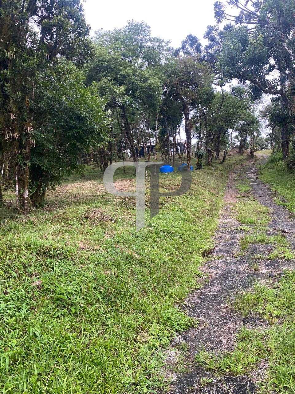 Chácara à venda, zona rural (bugre), CAMPINA GRANDE DO SUL - PR