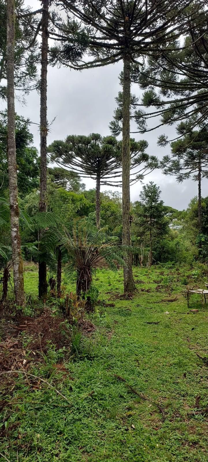Chácara à venda, zona rural (bugre), CAMPINA GRANDE DO SUL - PR