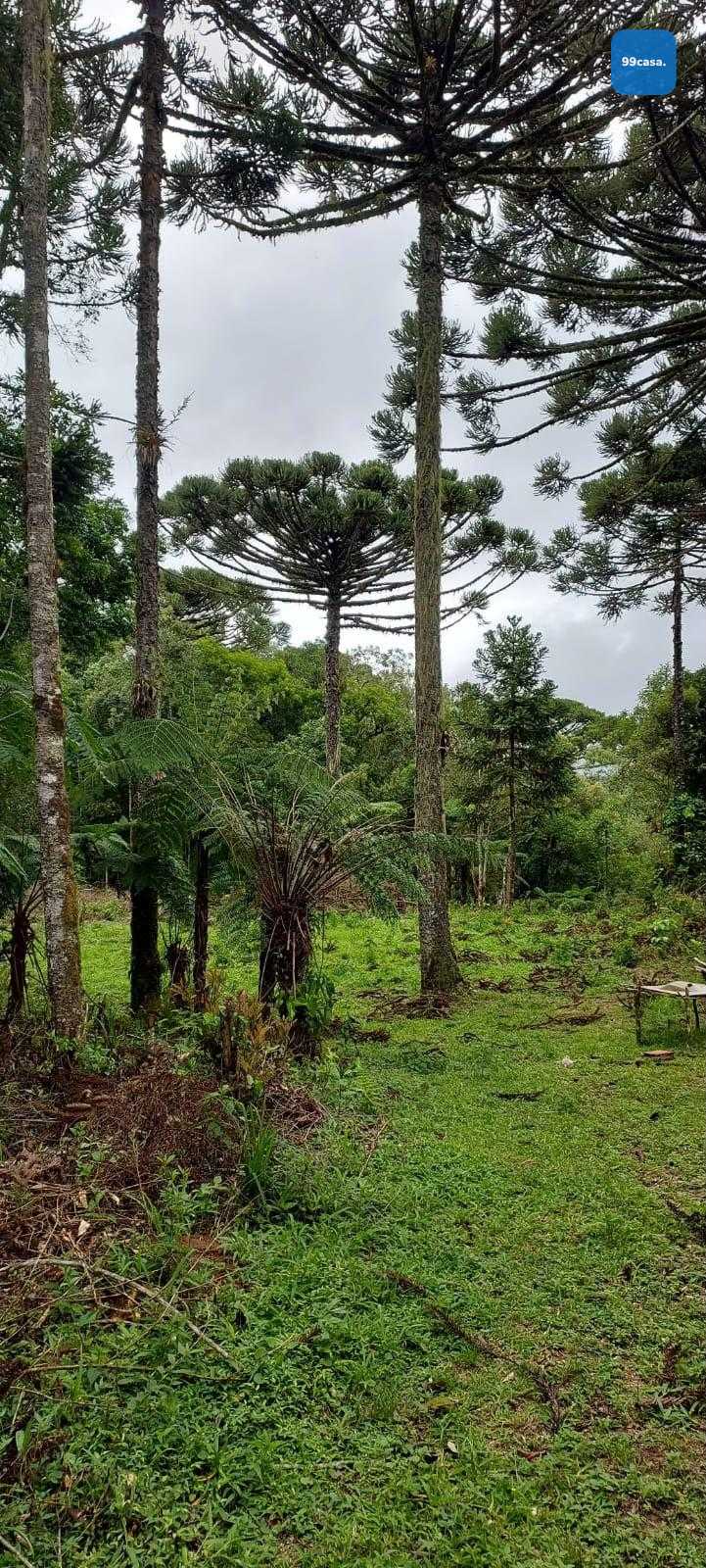 Chácara à venda, zona rural (bugre), CAMPINA GRANDE DO SUL - PR