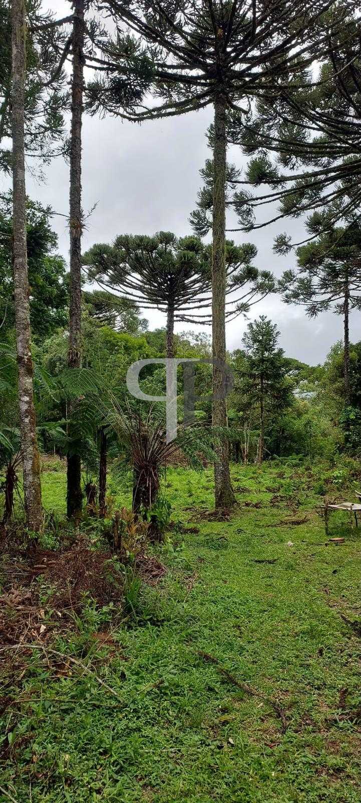 Chácara à venda, zona rural (bugre), CAMPINA GRANDE DO SUL - PR