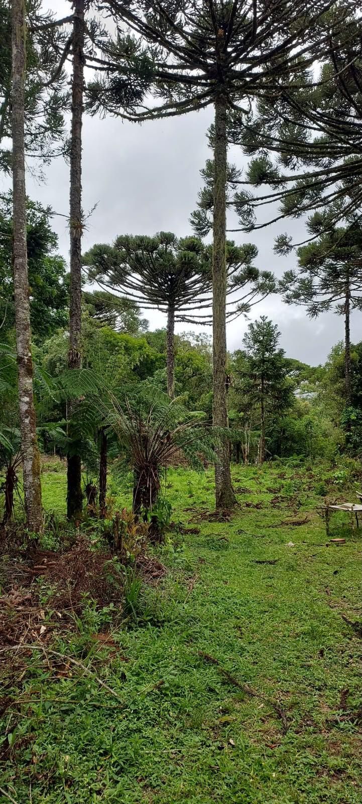 Chácara à venda, zona rural (bugre), CAMPINA GRANDE DO SUL - PR