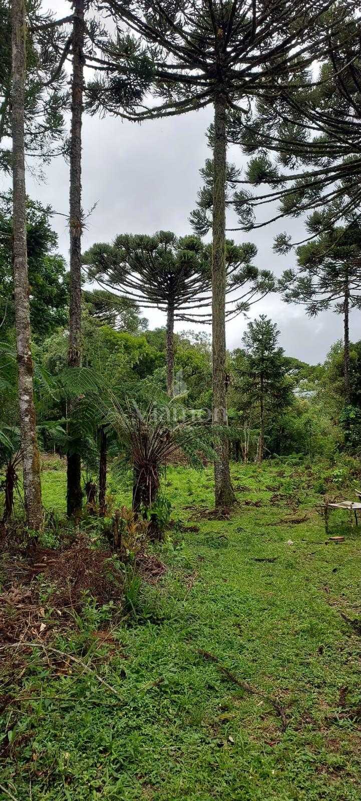 Chácara à venda, zona rural (bugre), CAMPINA GRANDE DO SUL - PR