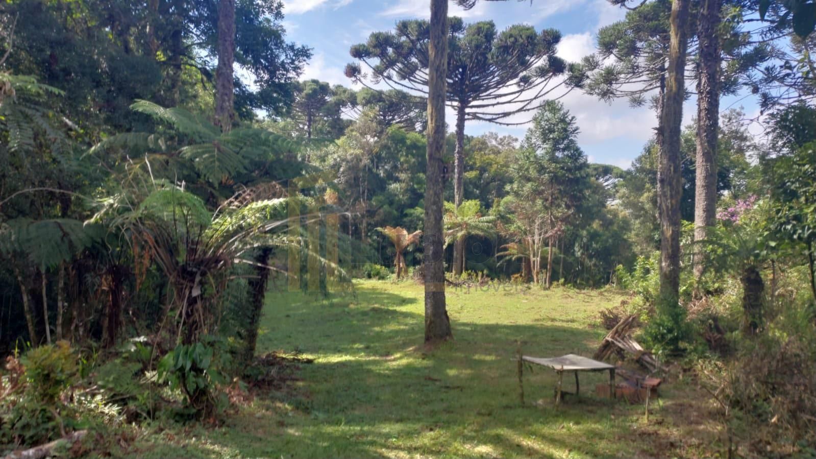 Chácara à venda, zona rural (bugre), CAMPINA GRANDE DO SUL - PR