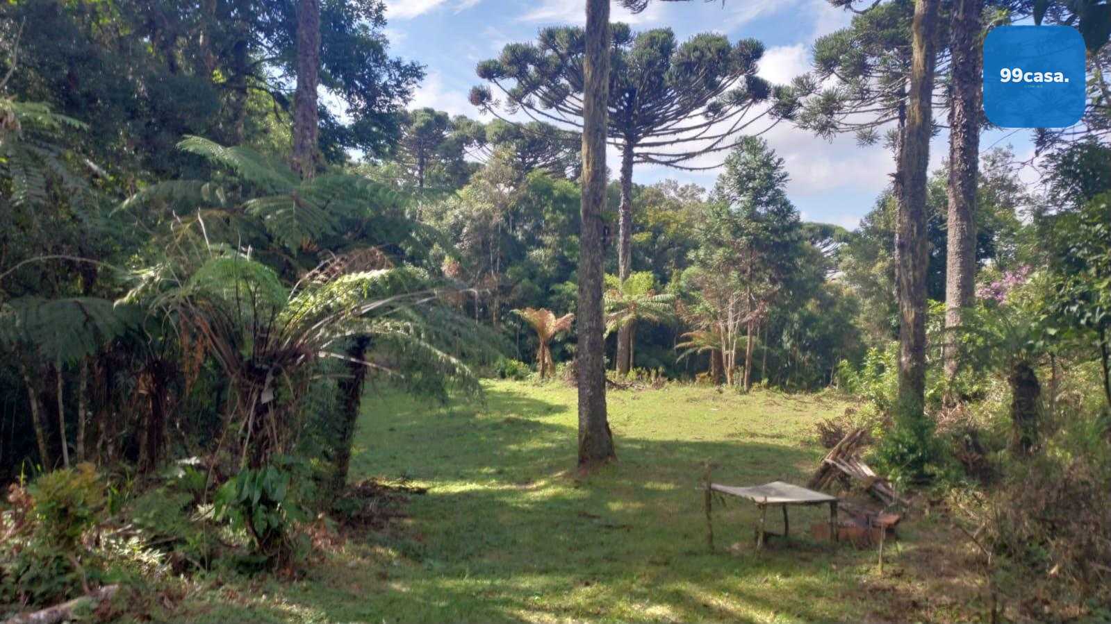 Chácara à venda, zona rural (bugre), CAMPINA GRANDE DO SUL - PR