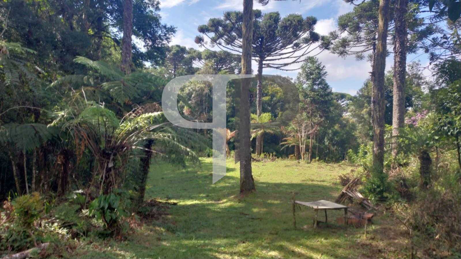 Chácara à venda, zona rural (bugre), CAMPINA GRANDE DO SUL - PR