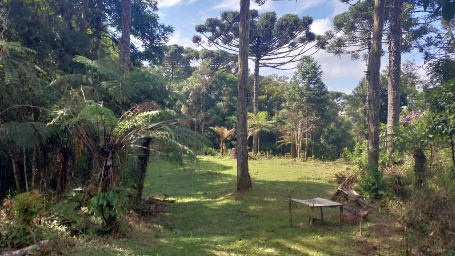 Chácara à venda, zona rural (bugre), CAMPINA GRANDE DO SUL - PR