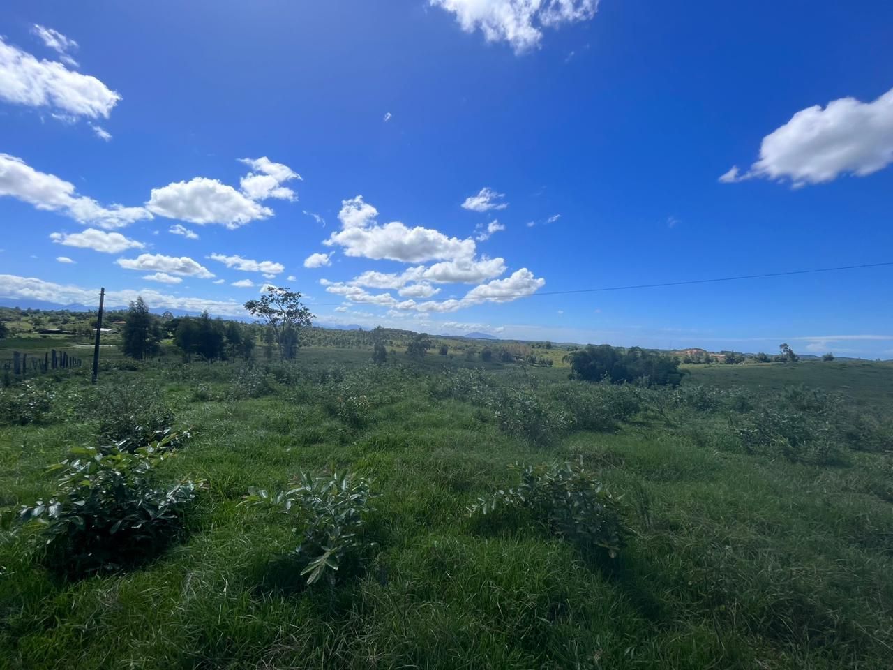 Fazenda à venda com 52 alqueires, Mato Preto, ARARUAMA - RJ