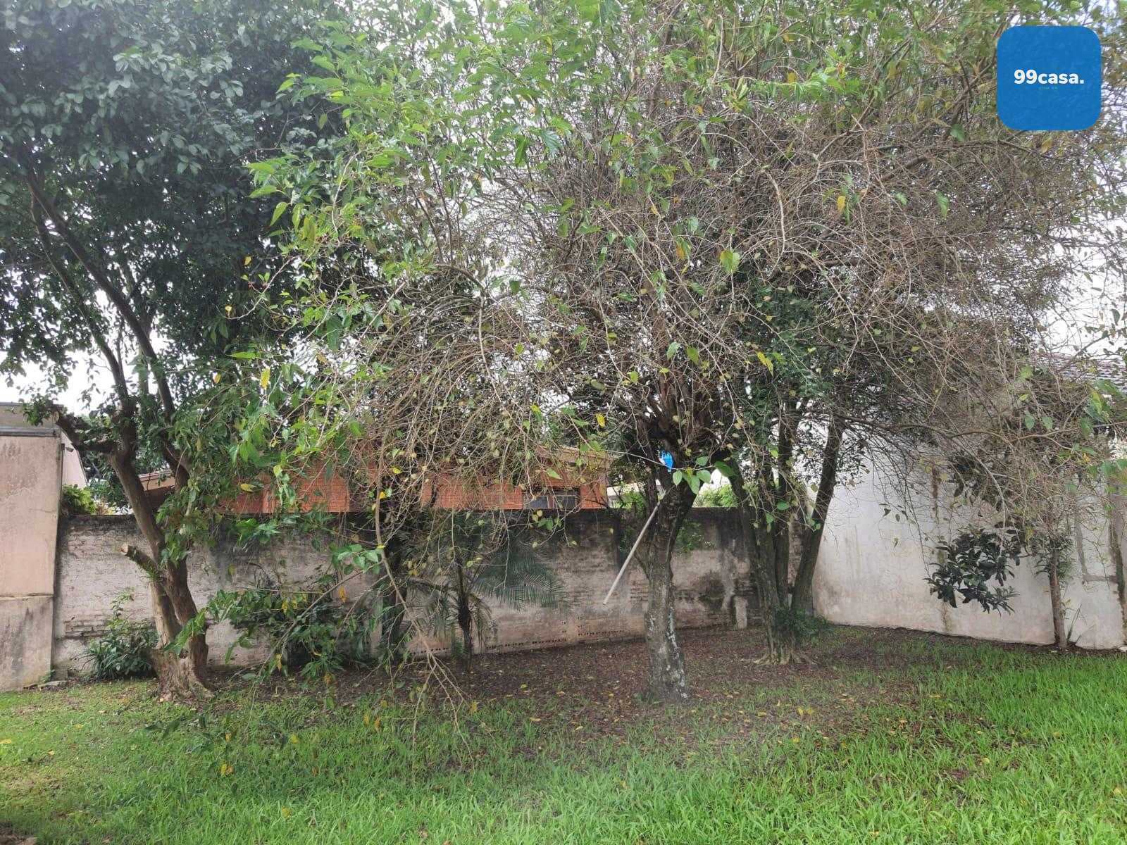 Terreno de 445 m² no Jardim Social com excelente potencial par...