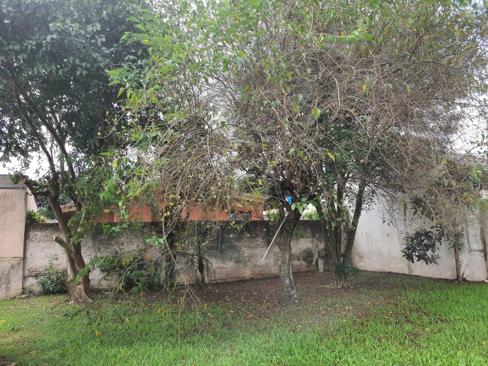 Terreno de 445 m² no Jardim Social com excelente potencial par...