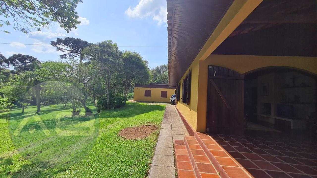 Sítio em Quatro Barras 150.000m com casa ,pomar compo e mata n...