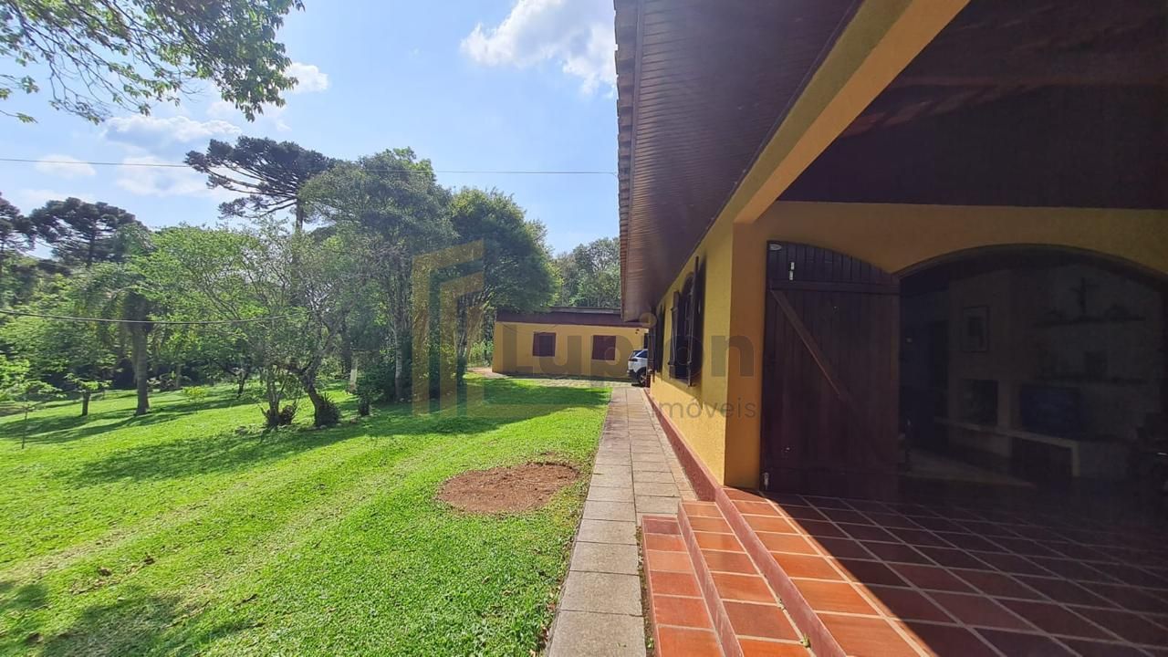 Sítio em Quatro Barras 150.000m com casa ,pomar compo e mata n...