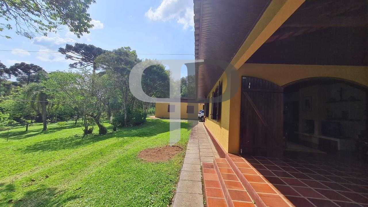 Sítio em Quatro Barras 150.000m com casa ,pomar compo e mata n...