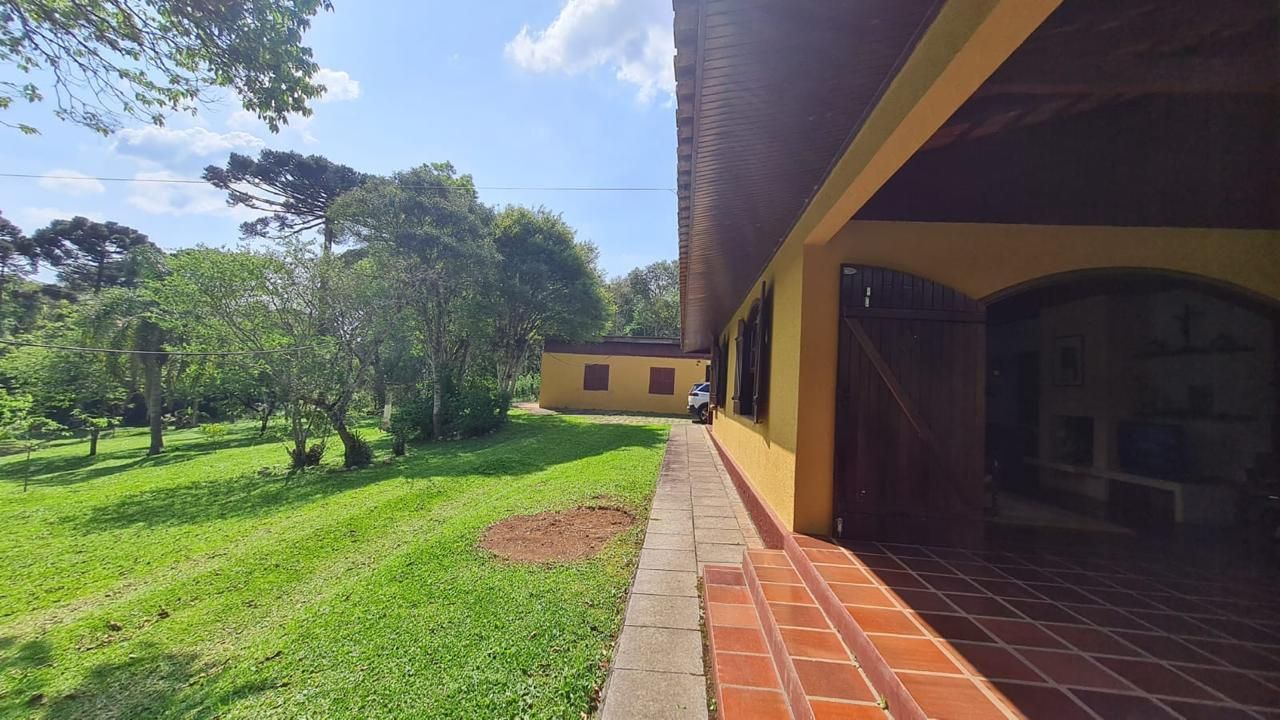 Sítio em Quatro Barras 150.000m com casa ,pomar compo e mata n...