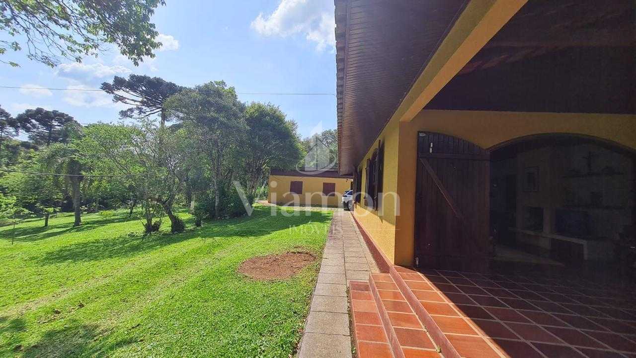 Sítio em Quatro Barras 150.000m com casa ,pomar compo e mata n...