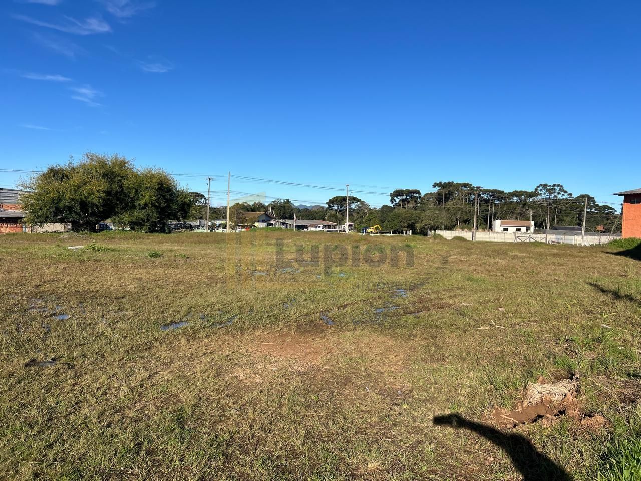 Chácara com 9.000 m² e casa de 2 quartos a 14 km do Centro de ...