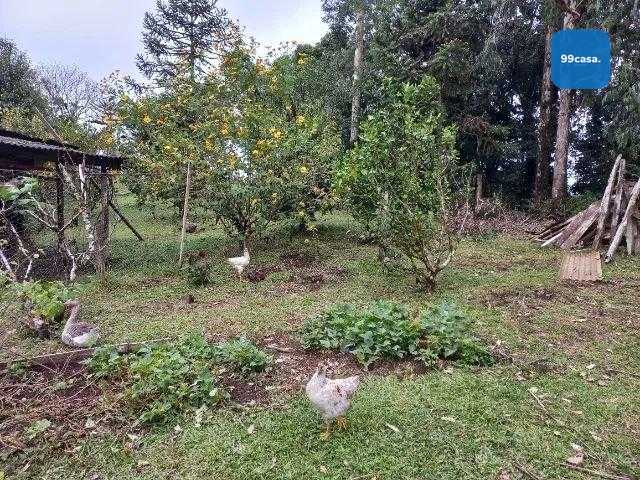 Chácara com 3 dormitórios à venda, ipê, SAO JOSE DOS PINHAIS - PR
