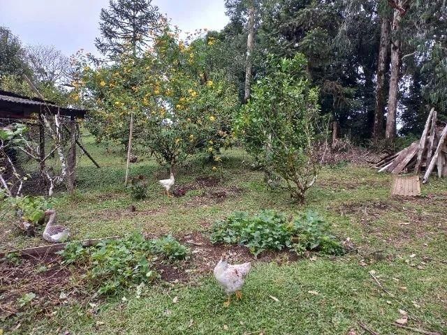 Chácara com 3 dormitórios à venda, ipê, SAO JOSE DOS PINHAIS - PR