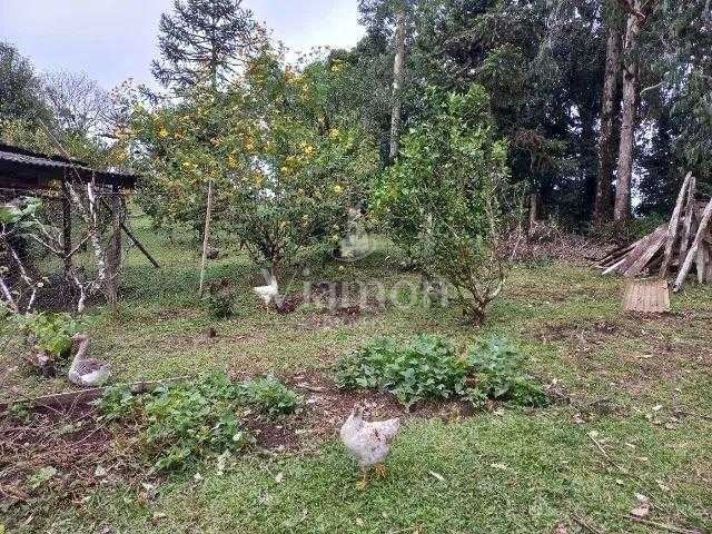 Chácara com 3 dormitórios à venda, ipê, SAO JOSE DOS PINHAIS - PR